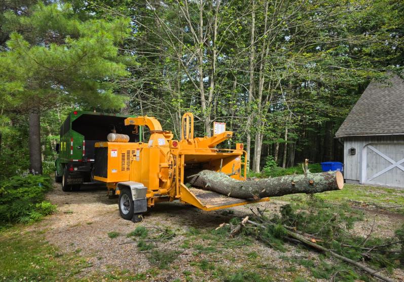 ttree services connecticut 9