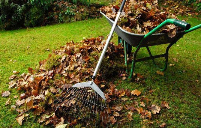 clean up